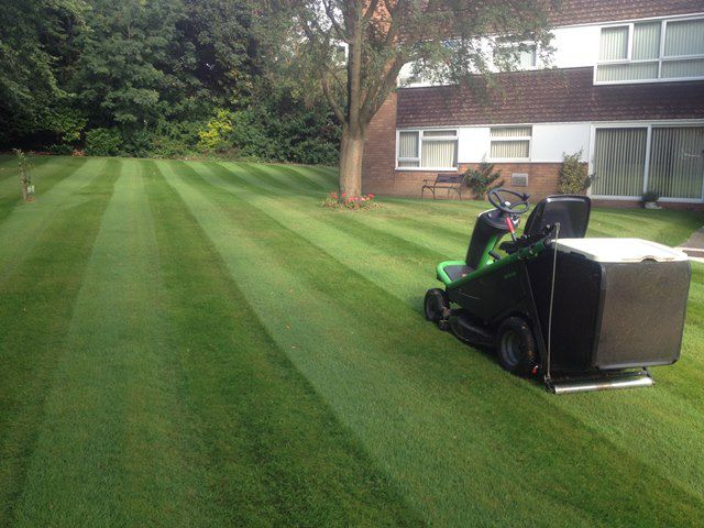 Grass Cutting